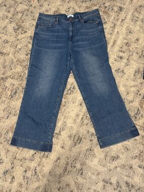LOFT Medium Blue Denim Jeans